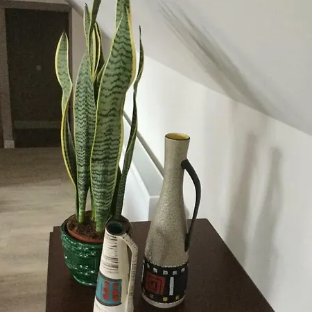 Oyenkerke-loft Vakantiehuis